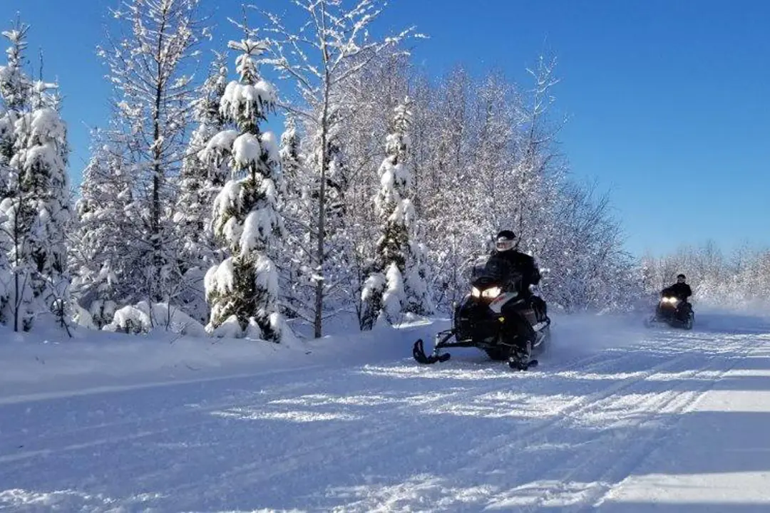 Motoneigiste sur un large sentier damé bordé de sapins enneigés par une journée ensoleillée